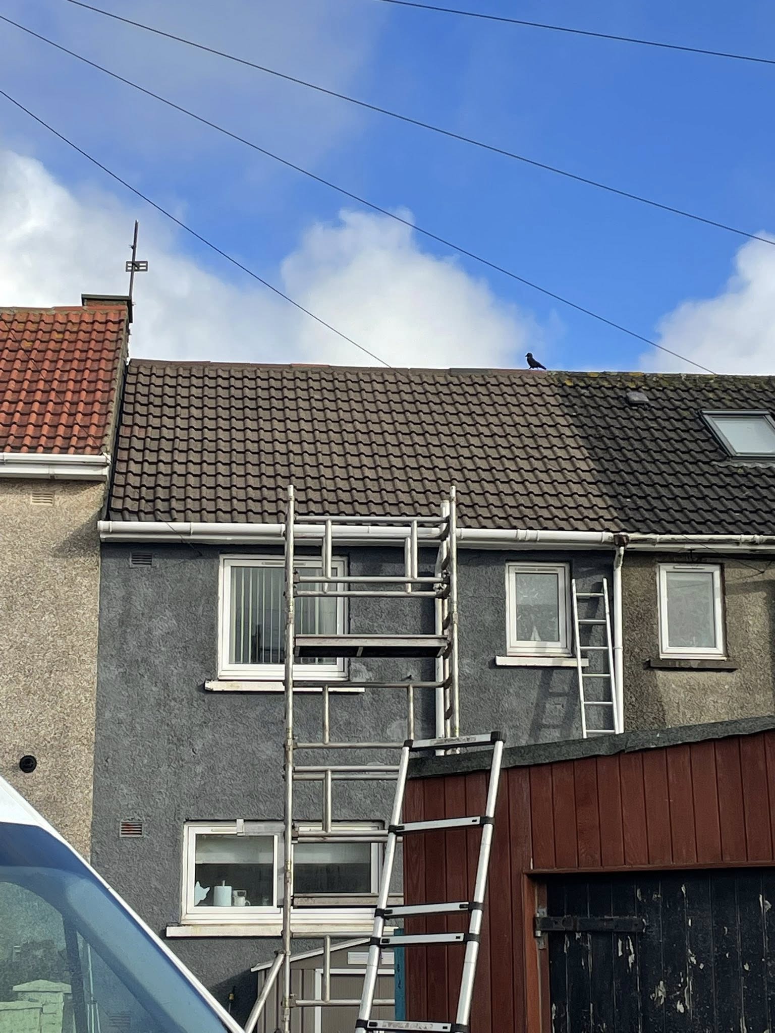 Professional roof and property cleaning — Paisley Roof Cleaning